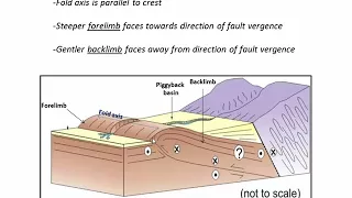 Fold and Thrust belts: an example from the Andes (C7)