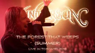 Wintersun - The Forest That Weeps (Summer) (Live in Toronto 2018)