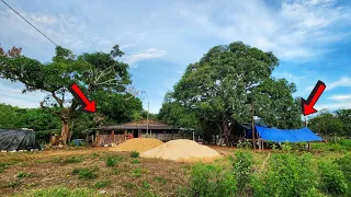 VAMOS CONSTRUIR UMA CASA NOVA NA FAZENDA, VEJA COMO VAI SER E COMO É A ANTIGA