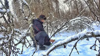 НЕВЕРОЯТНО! РУЧЕЙ ПО КОЛЕНО А РЫБЫ ПОЛНО!!! В ТАЙГЕ ИЩЕМ КРУПНЯК ! РЫБАЛКА НА ХАРИУСА