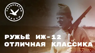 Обзор ружья ИЖ-12. Отличная классика!