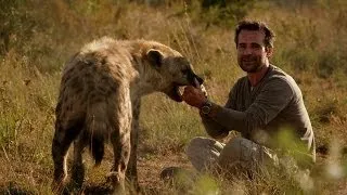 Man plays with Hyena - Animal Odd Couples: Episode 2 Preview - BBC One