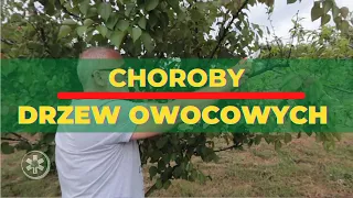 Choroby drzew owocowych