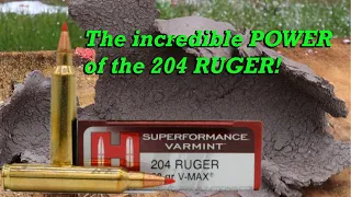 Testing the destructive capabilities of the 204 Ruger!