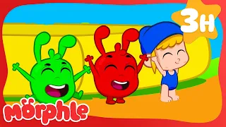 Beach in the Backyard! 🏖️ | Morphle's Family | My Magic Pet Morphle | Kids Cartoons