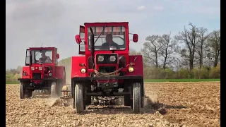 Farming day in Romania-Land preparation-2 x UTB 650 Tractors-Discuit de primăvară la Tilecuș