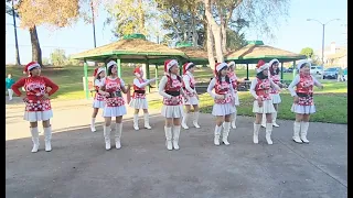 想问情深有几许 LINE DANCE. Dec 24.2023.