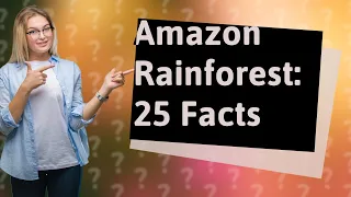 What are 25 Must-Know Facts About the Amazon Rainforest?