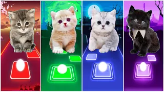 CUTE CAT WEDNESDAY LADY GAGA BLOODY MARY 🌟 BLACKPINK LISA MONEY 🌟 KITTY DDU DU DDU DU 🌟 JISOO FLOWER