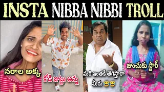 Insta Nibba Nibbi Troll Part-3 🤣🤣 | Narala Akka Vs Kodi Juttu Anna Vs Jumchuku Star | Telugu Trolls