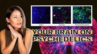 The Science of Psychedelics for Depression & Anxiety (Amazing)