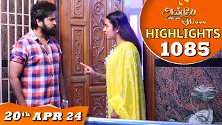 Anbe Vaa Serial | EP 1085 Highlights |20th April 24 | Virat | Shree Gopika | Saregama TV Shows Tamil