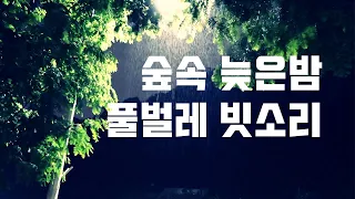 추억이 생각나는 귀뚜라미 풀벌레 빗소리...