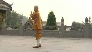 少林小罗汉拳Shaolin Xiao Luohan Quan by Shi De Yang