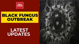 Black Fungus Outbreak: Several States See Increase In Infection Among Covid Patients | India First
