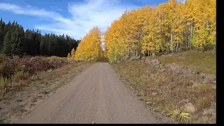 [65] Fall Colors on Grand Mesa 2020