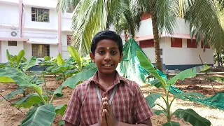 #GitaChallenge Avesh K J of class IV Amrita Vidyalayam Kanyakumari