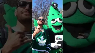 Elias Theodorou joins Leafythings to give out Free Weed in Toronto! 🌱💚