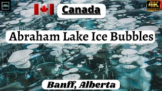 Abraham Lake Ice Bubbles Photography | Full video link in the Description #canada #IceBubbles