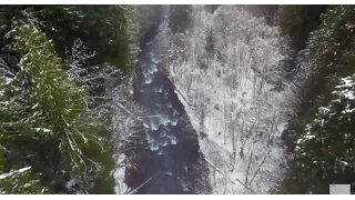 I Love Oregon, drone footage.  Mckenzie River.  Bigfoot???:).