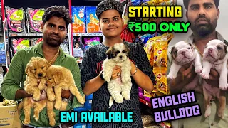 Cheapest Dogs Market In Delhi NCR | Chow Chow Puppy | Dog in Cheap Price | Dog market