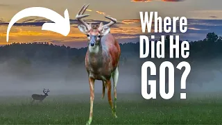 WHERE DID HE GO?!|Traditional Bowhunting|Whitetail Scouting|ALAN ALTIZER