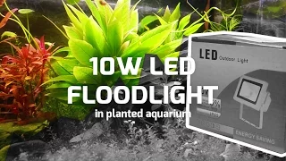 Needed to buy LED Floodlight for Planted Tank