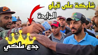 جدع البركي لي عجبني وركب عليه اليوم بسوق الخميسات ناضة عليه المزايدة خداوه عشاقة من المحمدية 😍😍