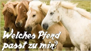 Welches Pferd passt zu mir?  ♥ Anita Girlietainment