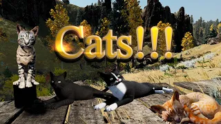 They added Cats in WolfQuest!!! All New WolfQuest 3 AE Cats!