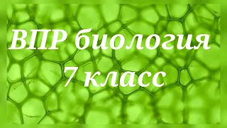 ВПР - 2022. Биология 7 класс. Вариант с ответами №1