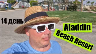 #14 Четырнадцатый день в Aladdin Beach Resort ( Хургада )