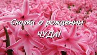 Слайд-шоу дочке на 1 годик