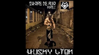 Husky Lion - Shape de rua parte 2 - Anti-tendencial (Nova 2019♪)