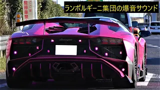 【諸星一家に遭遇‼】スーパーカーの爆音空ぶかし・爆音加速サウンド‼Supercars sound in Japan.