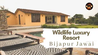 Episode 4 - Bijapur Lodge Jawai | Jawai's Most Luxurious Resort | Where to Stay in Jawai?