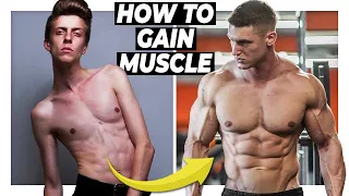 This Is Why You're Not Gaining Muscle | Alex Costa