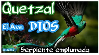 QUETZAL AVE MEXICANA SAGRADA | 10 Datos que NO Conocias! 🐦🐍🐉