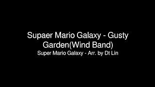 Supaer Mario Galaxy - Gusty Garden(Wind Band)