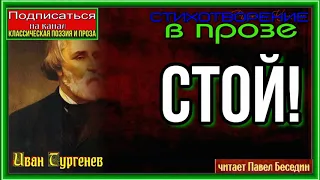 Стой —Иван Тургенев— Стихотворение в прозе— читает Павел Беседин