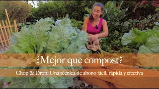 The easiest technique to fertilize and improve your garden: CHOP & DROP