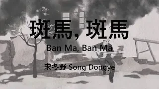 宋冬野 【斑馬，斑馬/Ban Ma, Ban Ma】【歌詞/Lyrics】