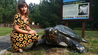 Urszulin - Poleski Park Narodowy - Wojownicze Żółwie Błotne