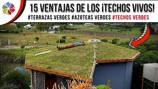 🌱15 Ventajas Únicas de los TECHOS VIVOS - Un techo para TODA la VIDA 🦋🌼🐝🌾🦜🌱🐜🌸