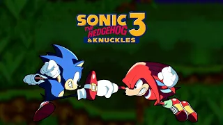 Sonic 3 (& Knuckles!) is PEAK 2D Sonic