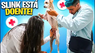 VOU TER QUE LEVAR O SLINKY NO VETERINÁRIO