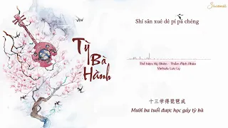 ♪ [Vietsub + Kara] Tỳ Bà Hành - 琵琶行 | Tik Tok