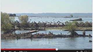 MPT Mallows Bay Video