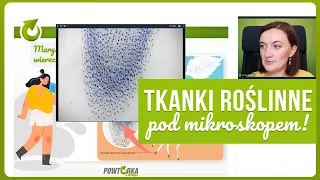 Tkanki roślinne pod mikroskopem- zobacz lekcję online!