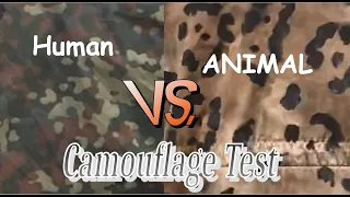 Camouflage effectiveness test: German Flecktarn vs dyed Jaguar print